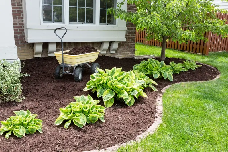 Best Time to Mulch - Gen Lawn