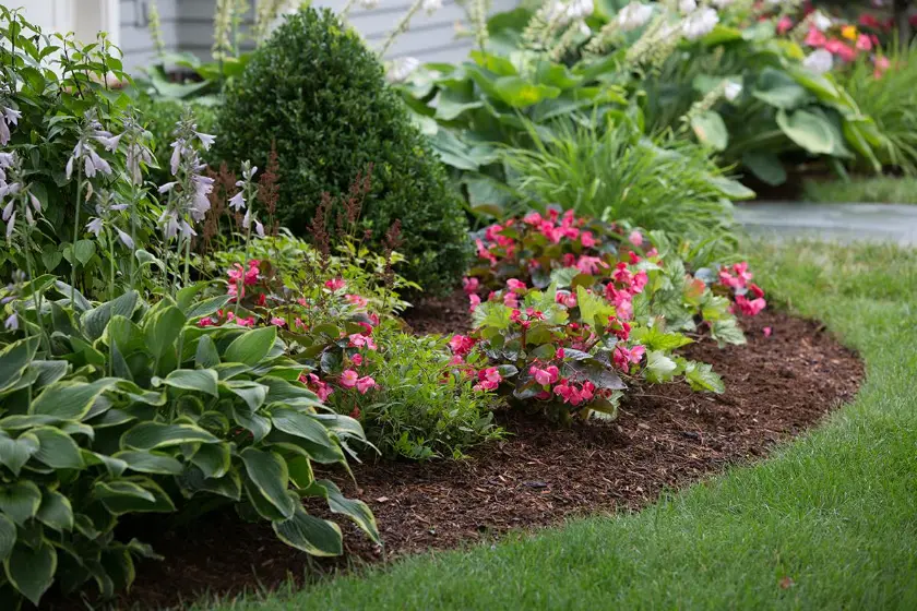MUlch for fllower Beds - Gen Lawn