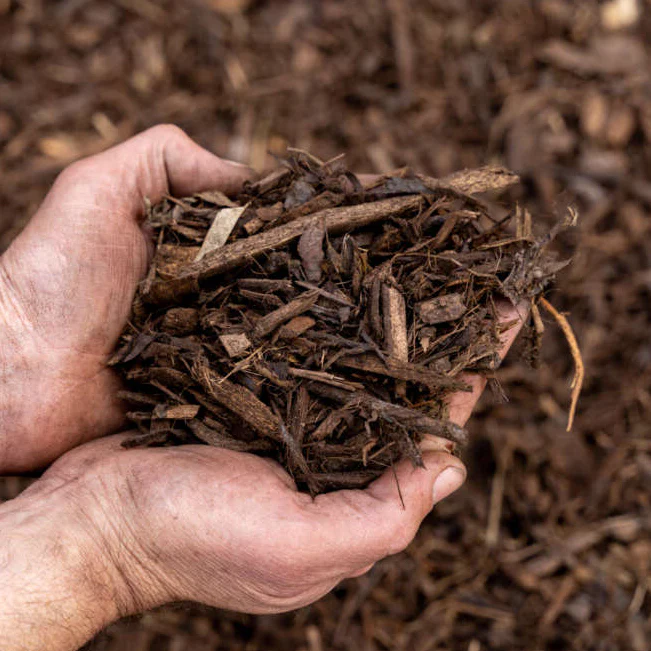 Bark Mulch