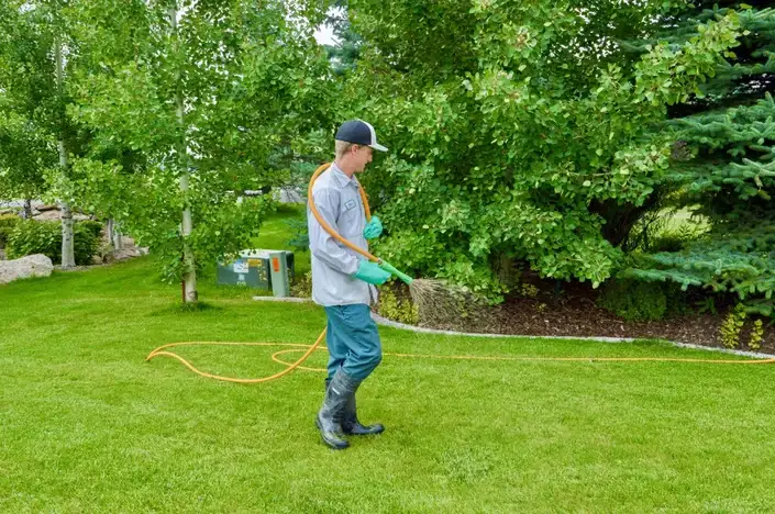 DIY Lawn Care for Beginners - Gen Lawn