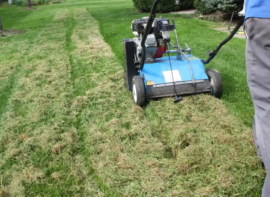 Dethatching Killed My Lawn - Gen Lawn