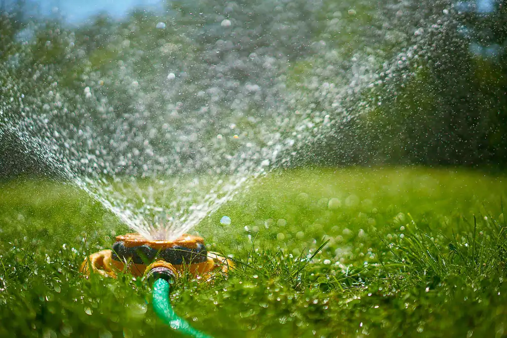 How Long to Water New Sod With Sprinkler - Gen Lawn