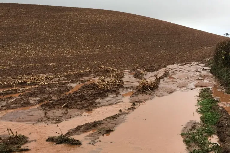 How Rain Breaks Soil, Mulch for Erosion Control - Gen Lawn
