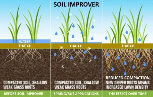 How to Improve Soil Quality for Lawn - Gen Lawn