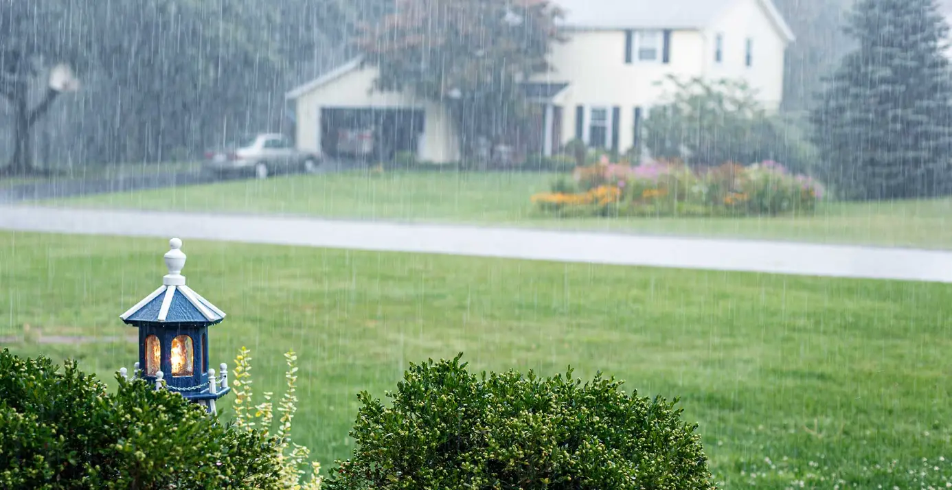 Is It Bad to Mow the Lawn in the Rain - Gen Lawn