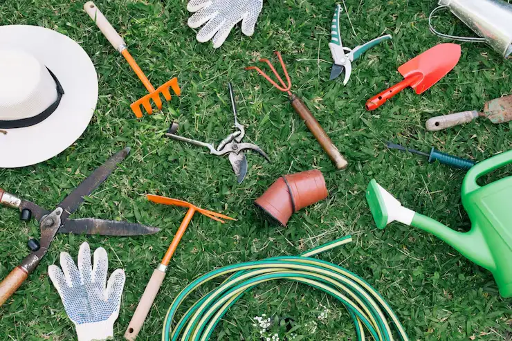 Lawn Care Tools - Gen Lawn