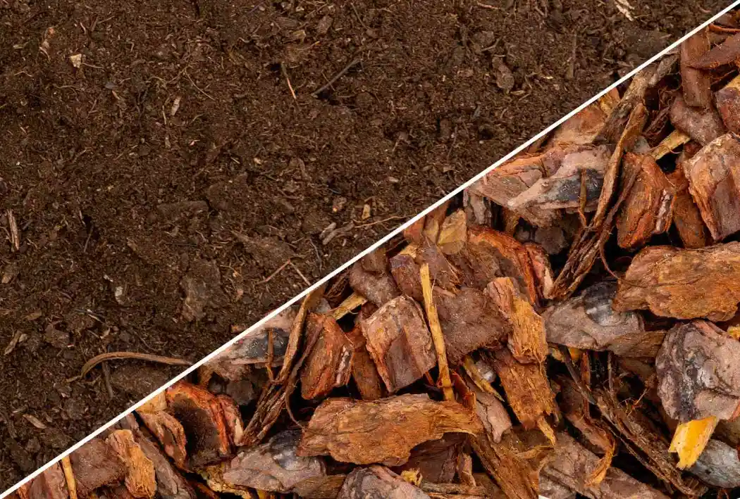 Mulch vs Soil - Gen Lawn