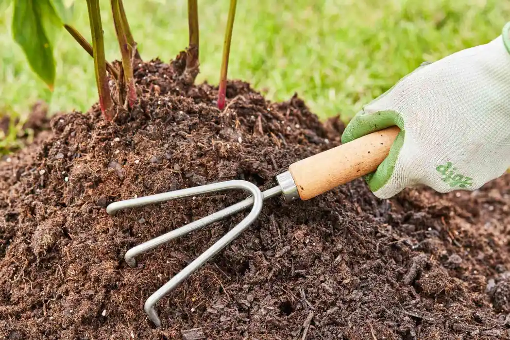Mushroom Compost - Gen Lawn