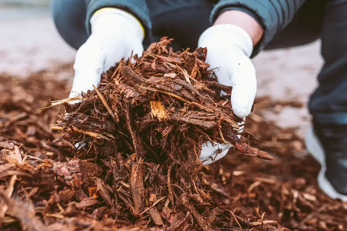 Pine Mulch - Gen Lawn