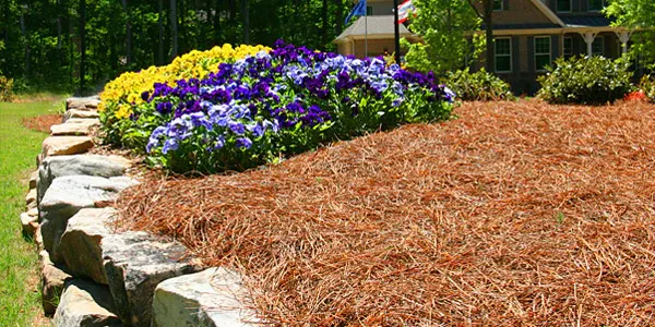 Pine Straw - Gen Lawn