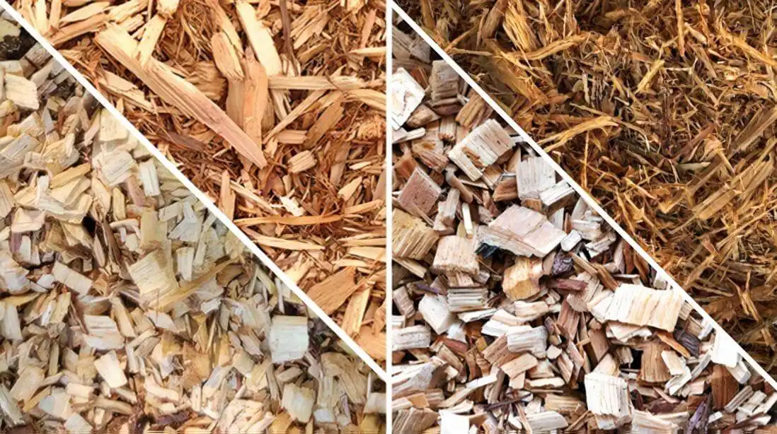 Best Mulch to Repel Bugs - Gen lawn