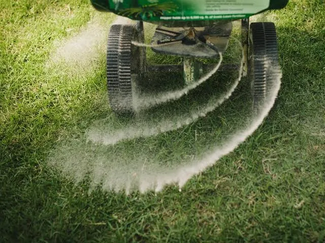 Can You Apply Fertilizer to Wet Grass
