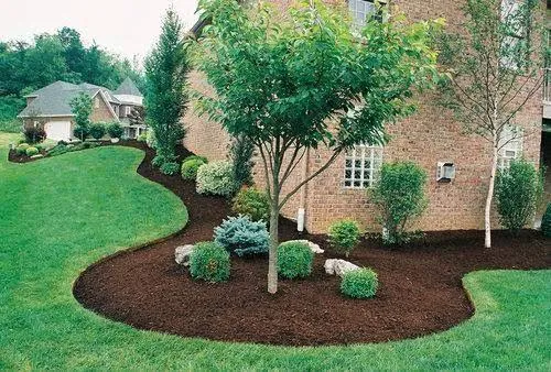Dark Brown Mulch Landscaping example 2