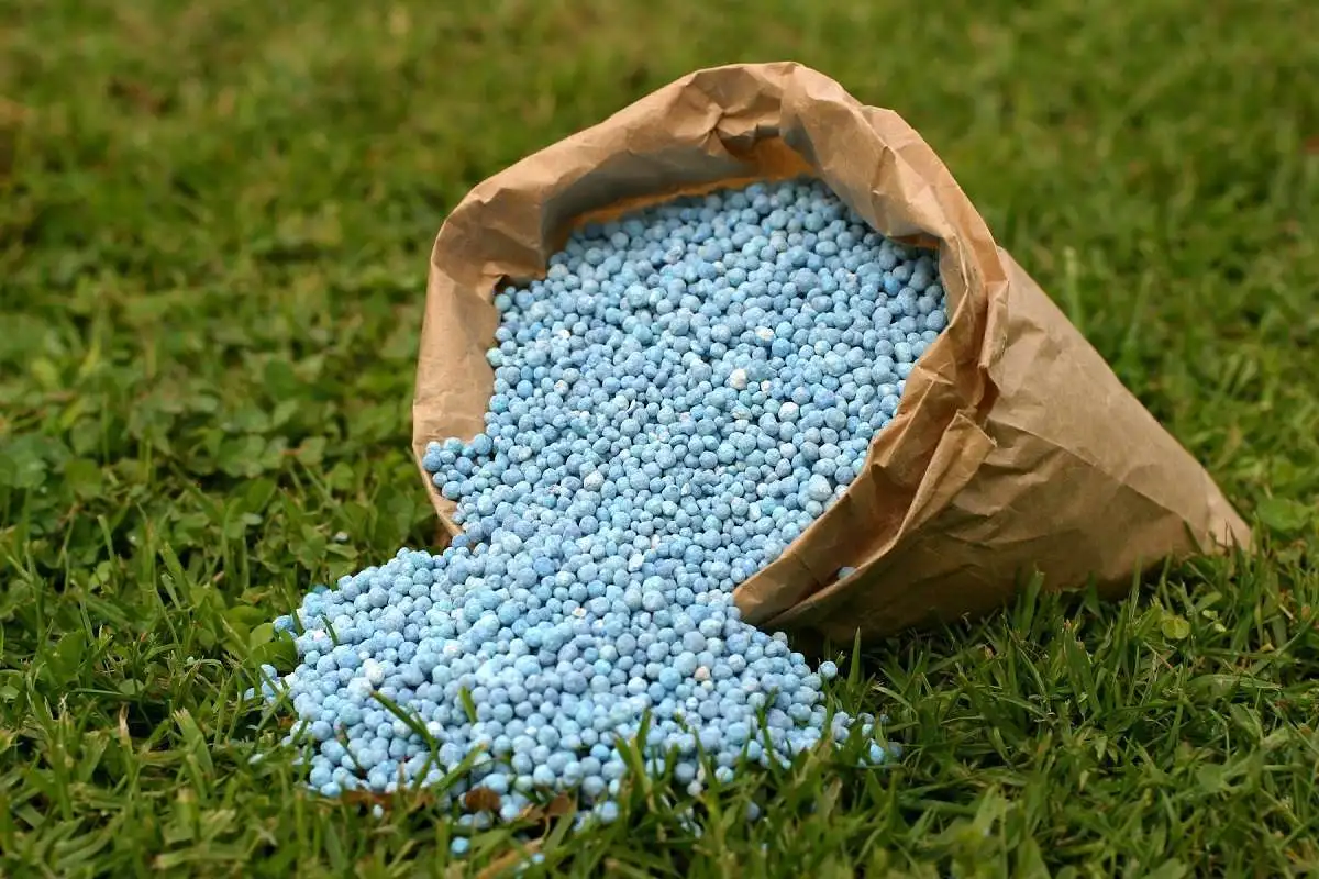 Granular Fertilizer