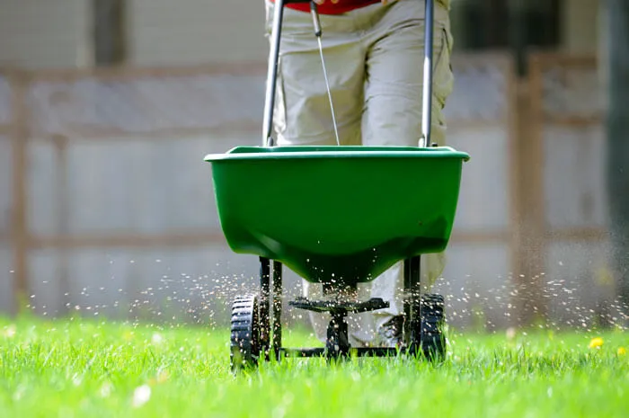 How Long for Fertilizer to Work