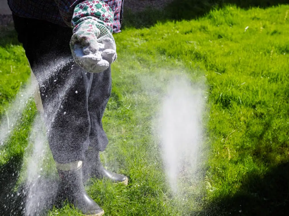 Should You Water After Fertilizing Lawn