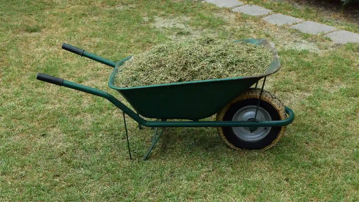 What Happens If You Don't Water After Fertilizing