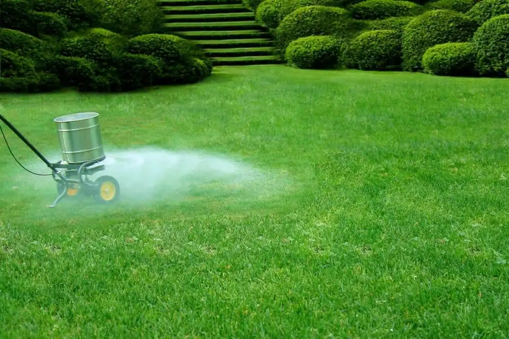 person applying fertilizer on wet grass