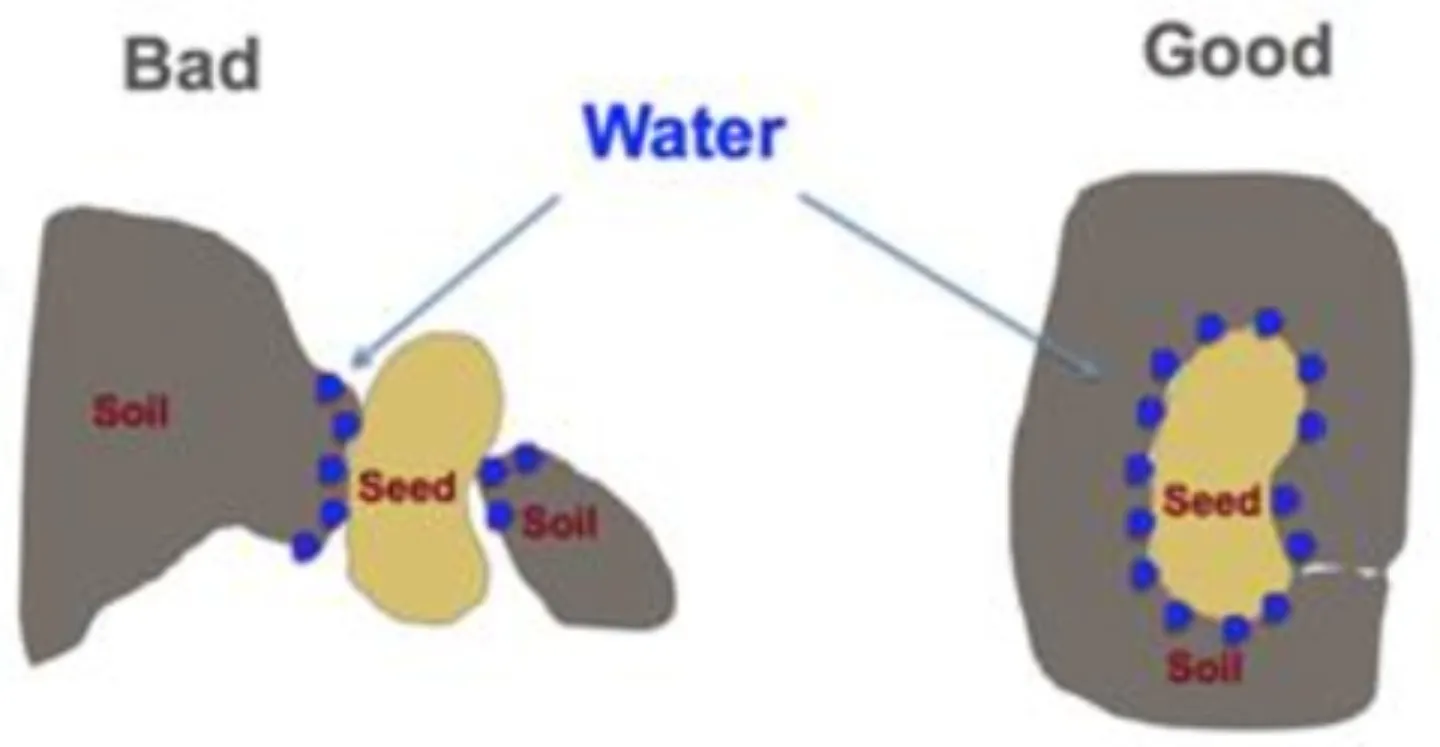 seed soil contact shown in chart - Gen Lawn