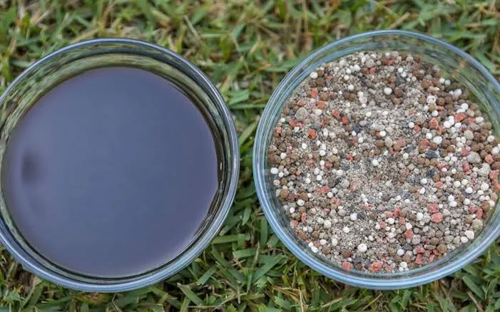 Granular vs Liquid Fertilizer