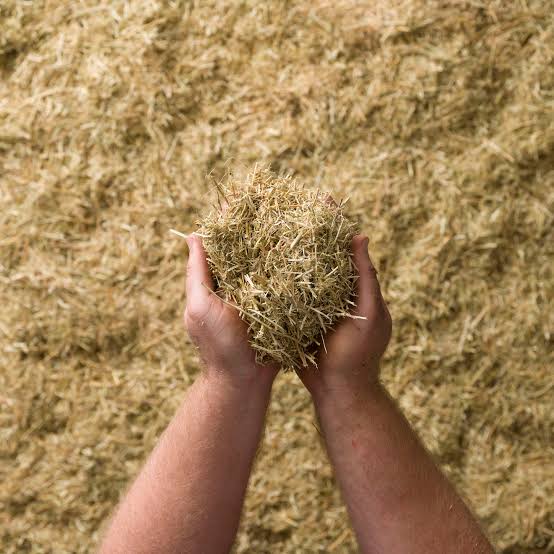 Lucerne (Alfalfa) Mulch