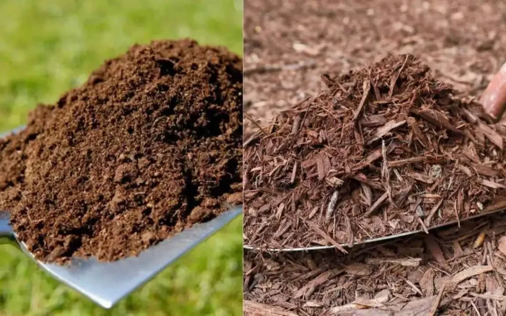 Mulch vs Topsoil