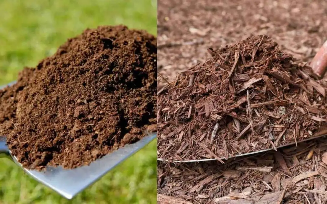 Mulch vs Topsoil