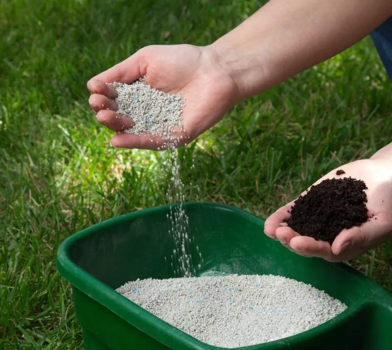 Starter Fertilizer for Grass Seed