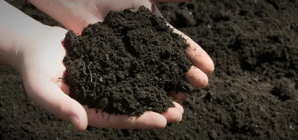 Topsoil clear image
