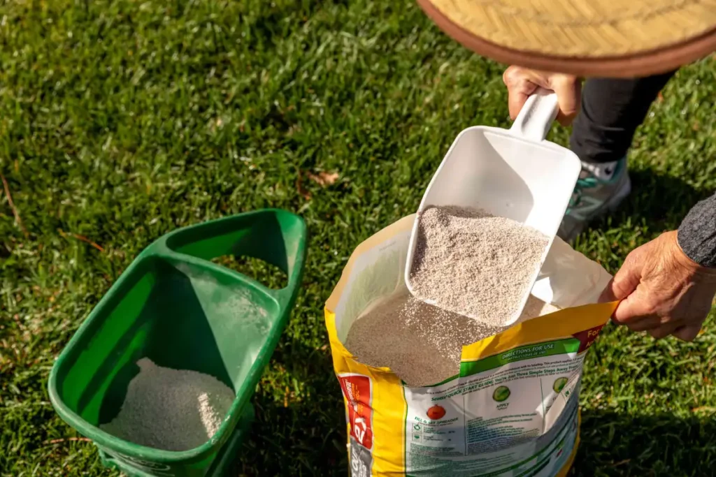 What Is the Best Fertilizer for New Grass Seed