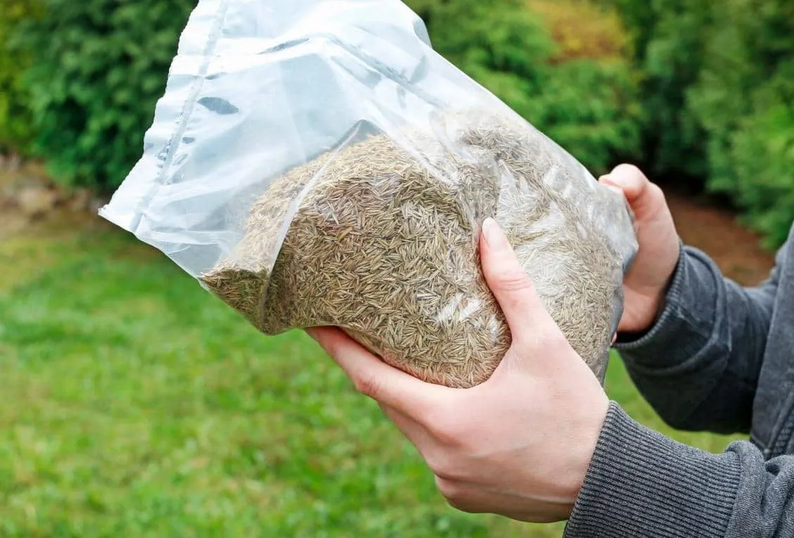 how long does grass seed last in the bag