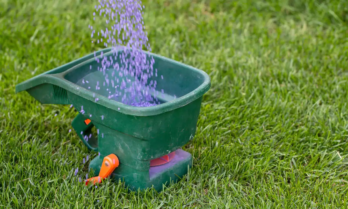 temperature for lawn fertilizer