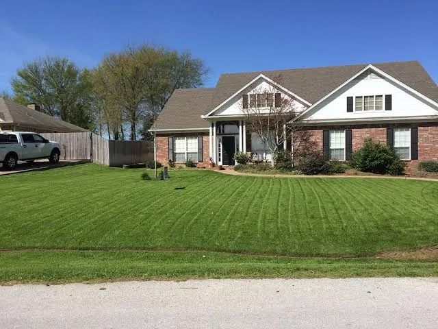 when to plant ryegrass in texas