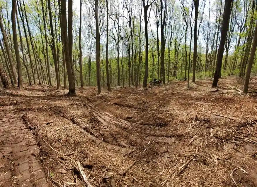 Forestry Mulching