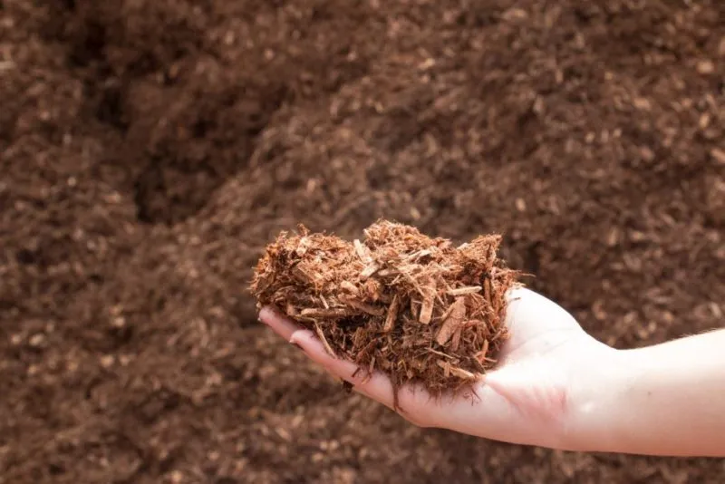 Natural brown mulch