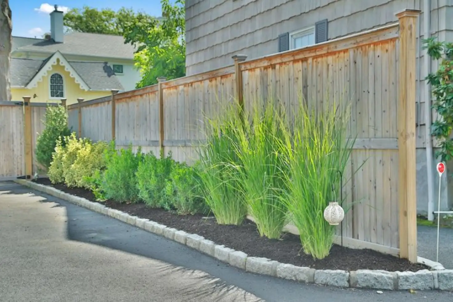 Ornamental Grasses