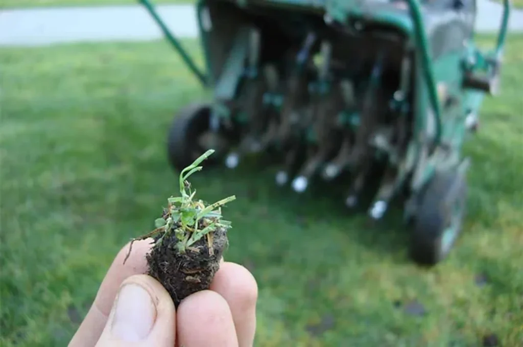 When to Aerate Your Lawn