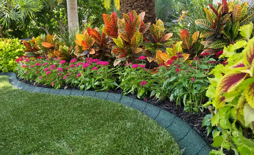 landscape edging ideas