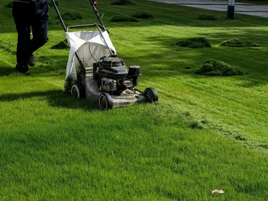 seasonal lawn care guide