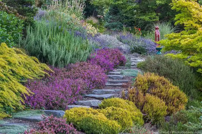 Drought Tolerant Landscape