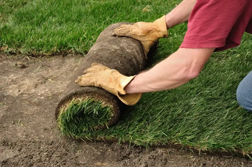 How to lay Sod