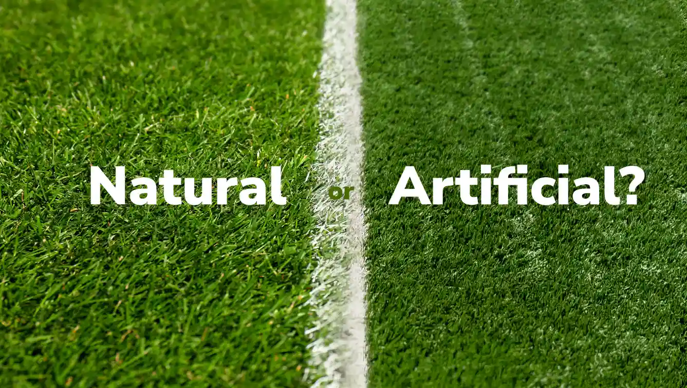 Natural Grass vs Artificial Turf