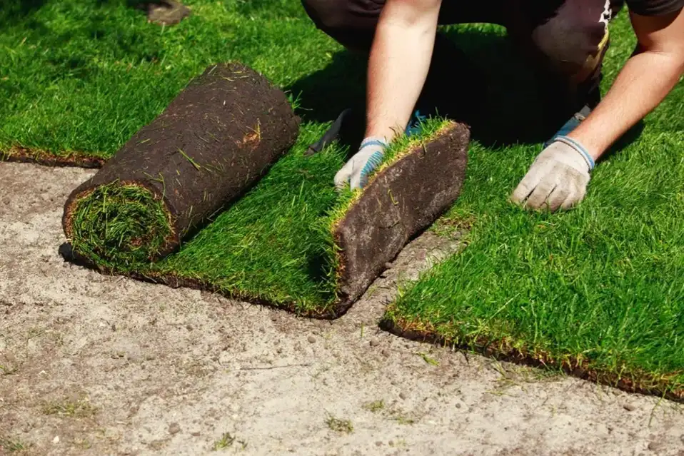 Sod Installation shown in the image