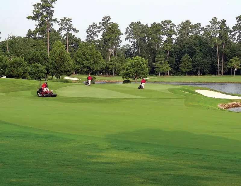 Southeast and Gulf Coast: Where Natural Grass Thrive
