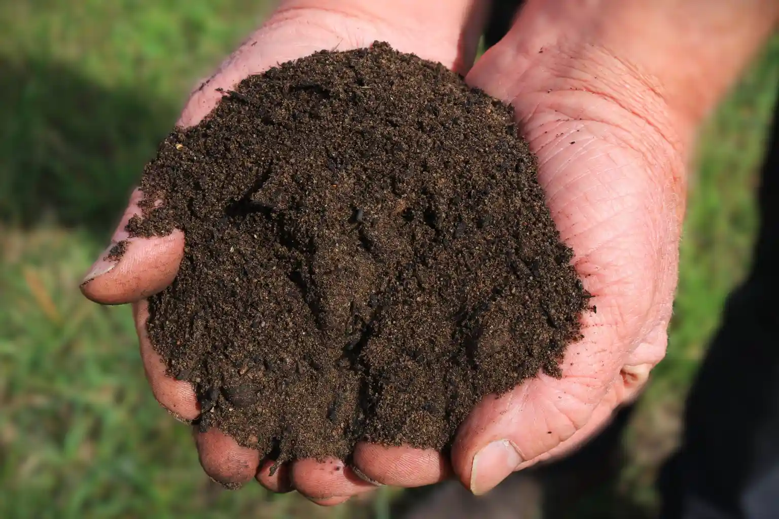 Topsoil