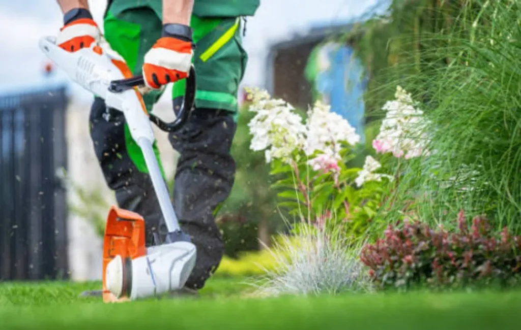 how to use a lawn edger