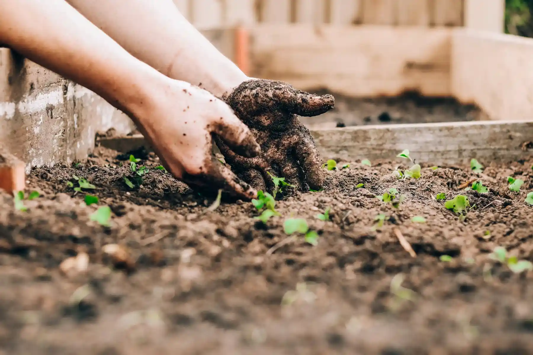 topsoil vs garden soil