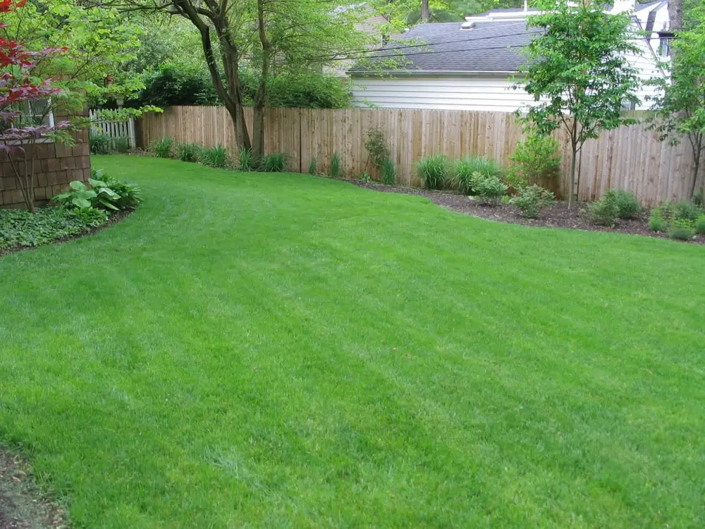 lawn maintenance checklist